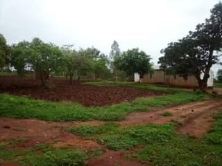 houses for sale