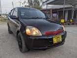 A picture of Vitz