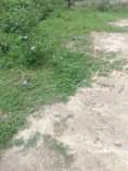 A picture of Nauza Kiwanja changu