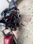 A picture of SUZUKI BUNDIT