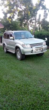 A picture of Toyota Prado