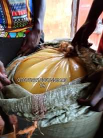A picture of Palm kernel