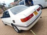 A picture of PREMIO ON SALE 0754863448
