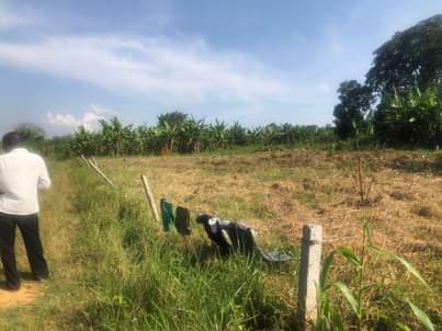 A picture of A PLOT OF LAND FOR SALE 100x50 ft WITH A