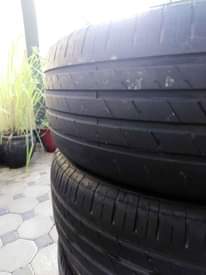 A picture of Tairi