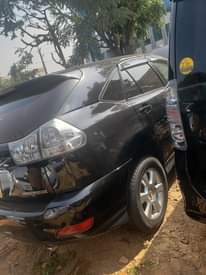 A picture of Harrier kawundo