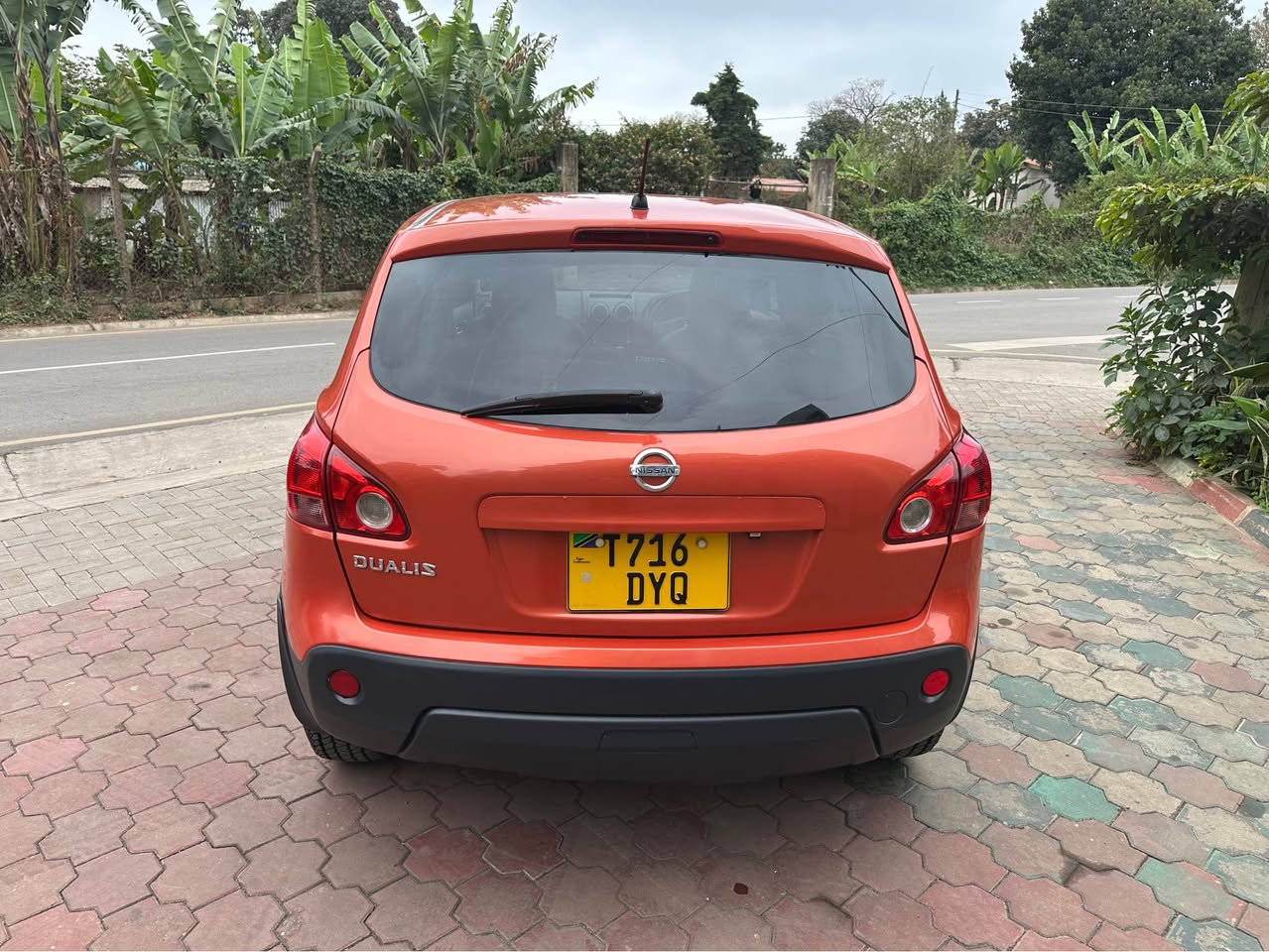 A picture of NISSAN DUALIS