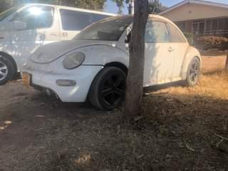 vw beetle