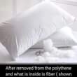 A picture of Fiber pillows
