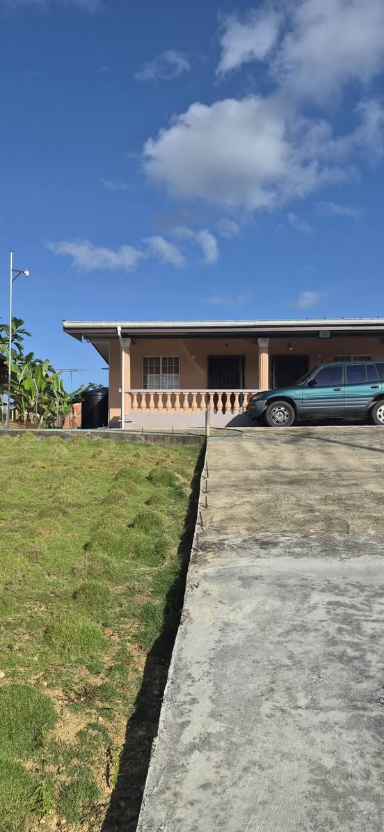 Avianne A.