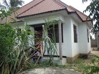 A picture of 255762353345