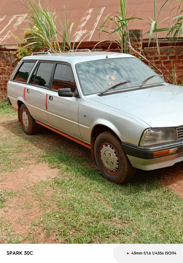 A picture of Peugeot 505 estate