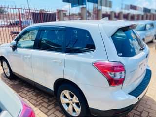 A picture of Subaru Forster