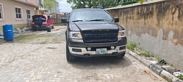 A picture of 2008 F 150