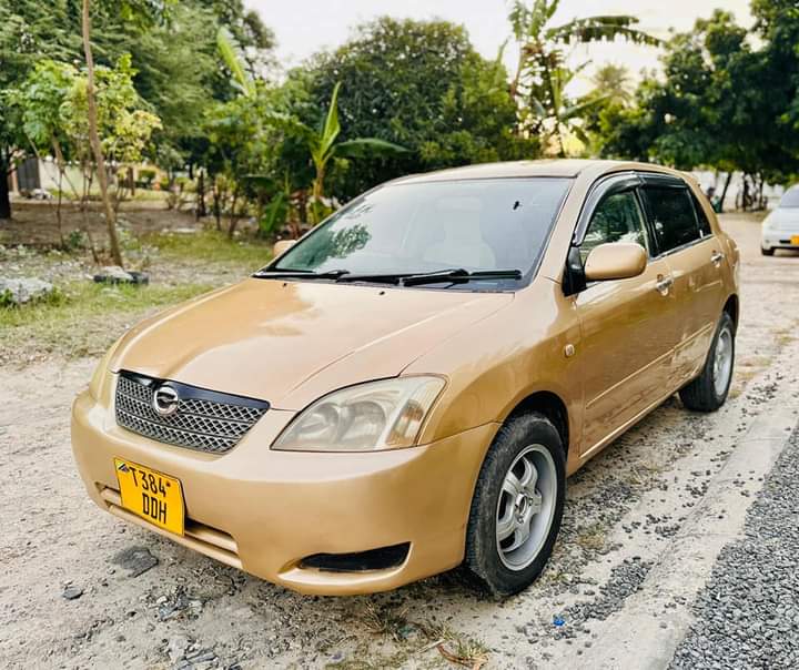 A picture of Toyota allex