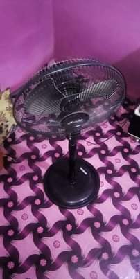 A picture of Feni