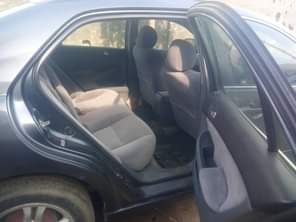 A picture of Belgium grade 1 7m SETTLEs 100k Location pH 09021430860 Ij