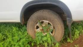 used nissan hardbody