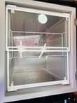 A picture of your frozen