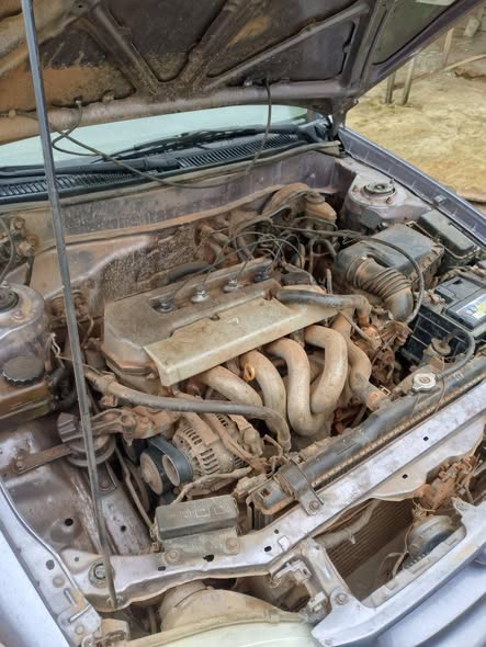 A picture of Toyota Corolla 8034422823