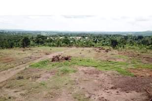 A picture of PLOTS FOR SALE IN GOBERO LUTISI HOIMA ROAD