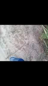 A picture of Kiwanja kinauzwa