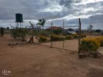 stands