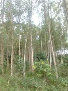 A picture of 