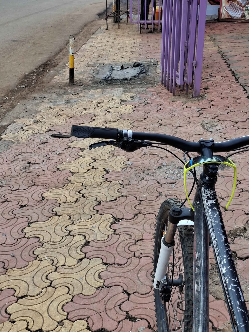 shimano