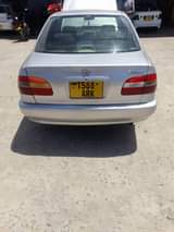A picture of COROLLA