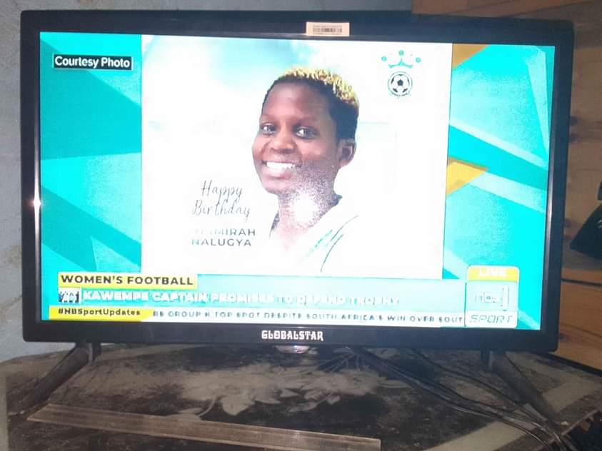 A picture of Global star Flat screen 24 inch