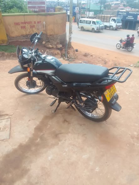 A picture of A hunter 150