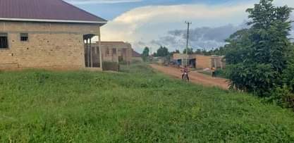 A picture of 7 plots good for shops only in Mukono Town. 0756873001