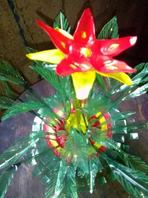 Camar G.