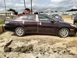 A picture of Clean and sound Lexus ES300 2004 model