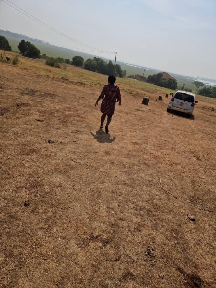 A picture of land