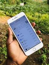 A picture of iPhone 8 plus...64