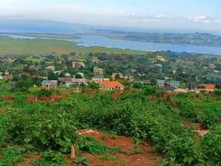 A picture of Lake view plot on quick sale