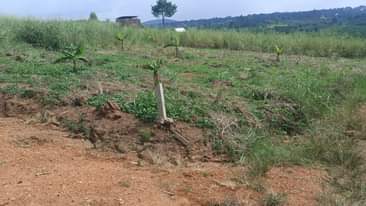 A picture of AFFORDABLE TITLED PLOTS NEAR TARMAC