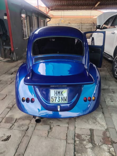 vw beetle