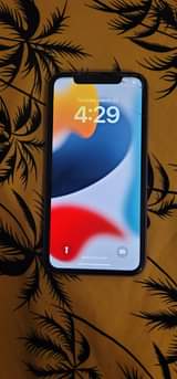 Apple F.