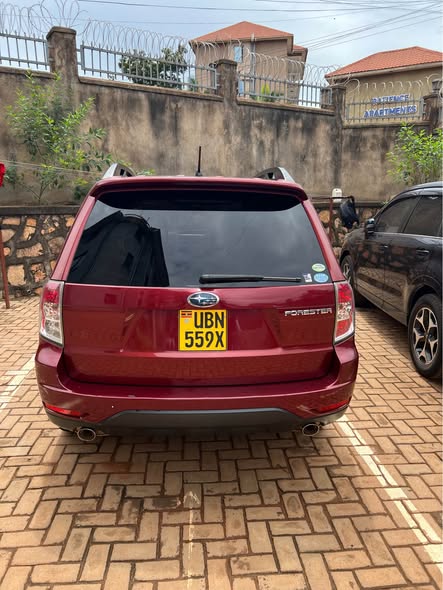 A picture of 2009 Subaru Forester