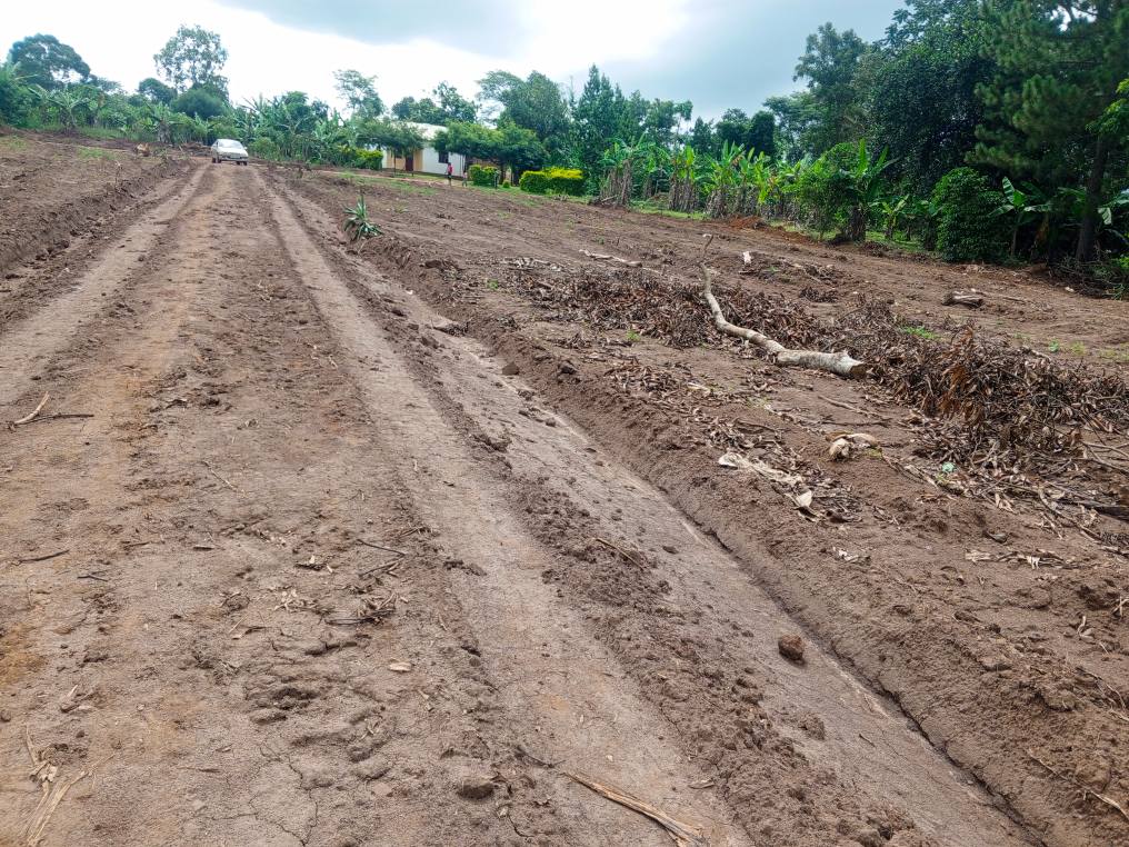 A picture of  CHEAP PLOTS All installments allowed PRICES 25x50ft........................... 4.5M 3050ft.