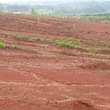A picture of 5 plots on sale 22m each located at Nsagu to