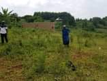 A picture of Land