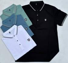 A picture of T shirt
