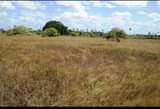 A picture of Kiwanja kinauzwa