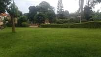 A picture of Land and property