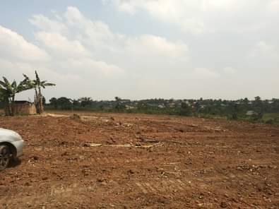A picture of Quick sale size 100by100ft with land title busubuzi price 22m