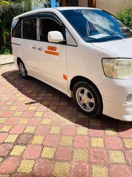 A picture of Noah voxy 7 m